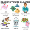 Top 10 Reasons You're Bloated