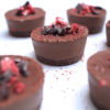 Raw Vega Mini Cheesecakes