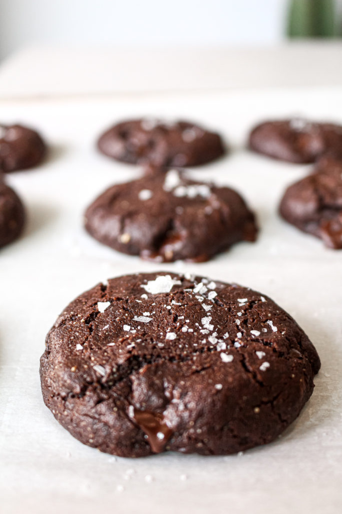 Paleo Double Choc Chip Cookies