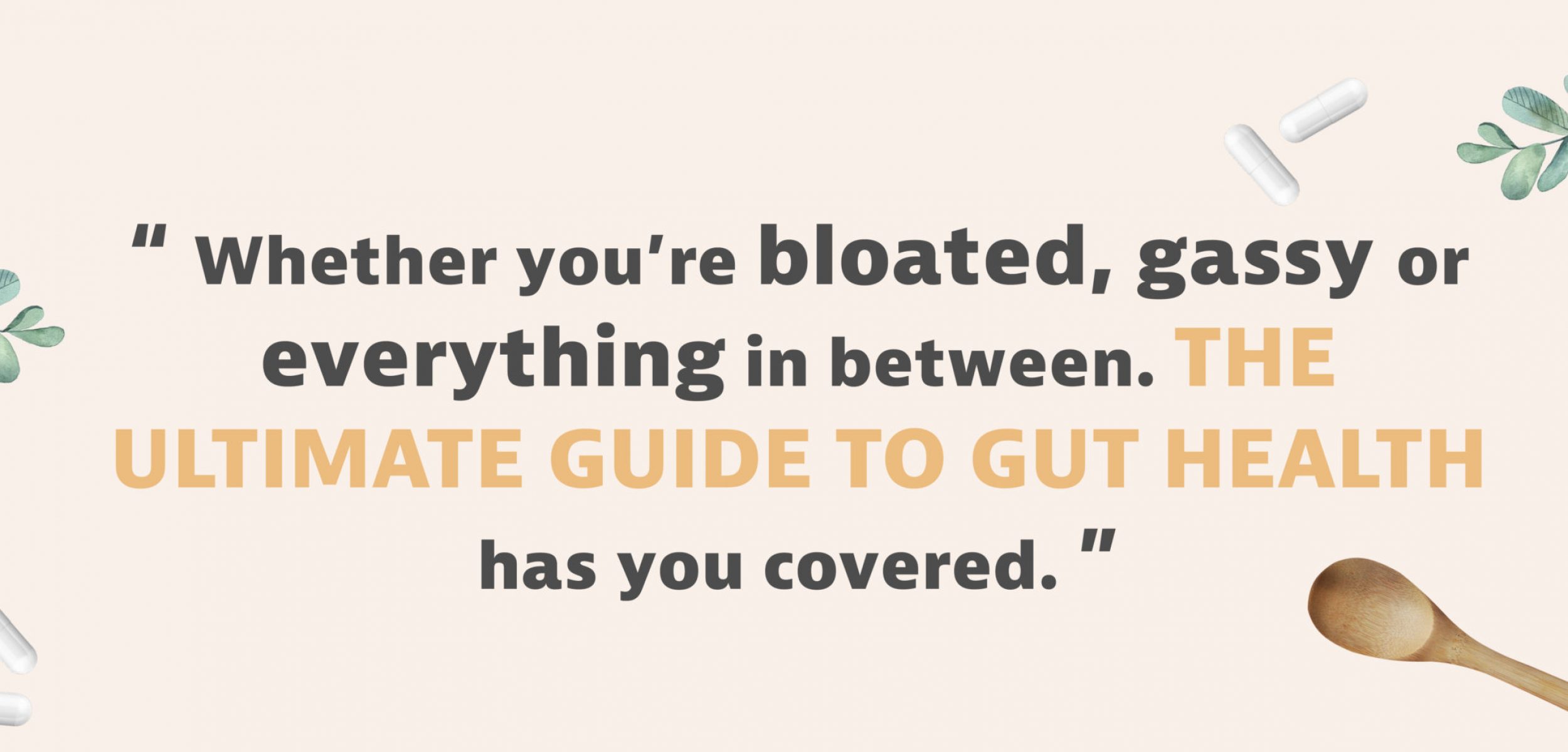 The Ultimate Guide to Gut Health Ebook